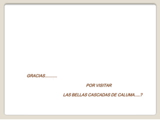GRACIAS...........                   POR VISITAR                           LAS BELLAS CASCADAS DE CALUMA.....? 