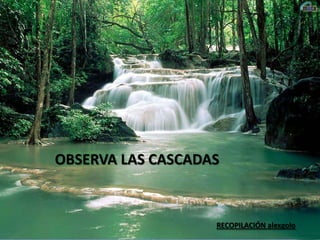 OBSERVA LAS CASCADAS

RECOPILACIÓN alexgolo

 