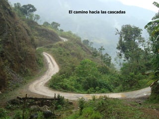 El camino hacia las cascadas
 