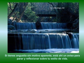 Parc Lithia, Orégon, USA Si tienes angustia sin motivo aparente, está ahí un aviso para parar y reflexionar sobre tu estilo de vida. 