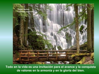 Chutes Russell,  Tasmania, Australie Todo en la vida es una invitación para el avance y la conquista de valores en la armonía y en la gloria del bien. 