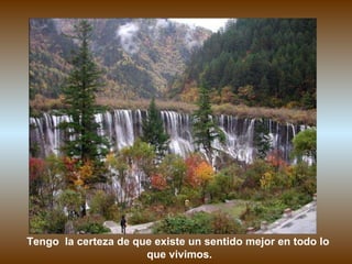 Tengo  la certeza de que existe un sentido mejor en todo lo  que vivimos. 