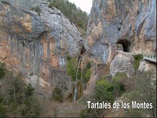 Tartales de los Montes