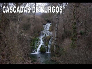 CASCADAS DE BURGOS 