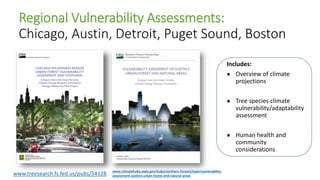 Regional Vulnerability Assessments:
Chicago, Austin, Detroit, Puget Sound, Boston
www.treesearch.fs.fed.us/pubs/54128 www....