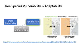 Tree Species Vulnerability & Adaptability
Overall
Vulnerability
Heat & Hardiness
Zone Suitability
Urban
Adaptability
Futur...