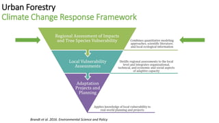 Urban Forestry
Climate Change Response Framework
Brandt et al. 2016. Environmental Science and Policy
 