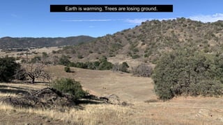 Earth is warming. Trees are losing ground.
 