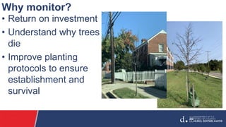 Why monitor?
• Return on investment
• Understand why trees
die
• Improve planting
protocols to ensure
establishment and
su...