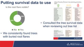 Putting survival data to use
• We consistently found trees
with buried root flares
38%
62%
Is the root flare visible?
No Y...