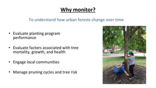 • Evaluate planting program
performance
• Evaluate factors associated with tree
mortality, growth, and health
• Engage loc...