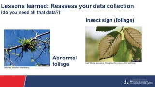 Lessons learned: Reassess your data collection
(do you need all that data?)
Abnormal
foliage
Insect sign (foliage)
 