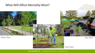 PORTLANDPARKS.ORG | Commissioner Carmen Rubio | Director Adena Long
What Will Affect Mortality Most?
Street Trees
Park Tre...