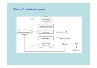Sistema 6 Hidrolisado proteico

 