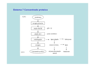 Sistema 7 Concentrado proteico
p

 
