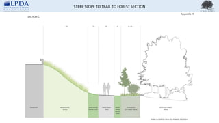 STEEP SLOPE TO TRAIL TO FOREST SECTION
 