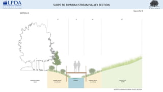 SLOPE TO RIPARIAN STREAM VALLEY SECTION
 