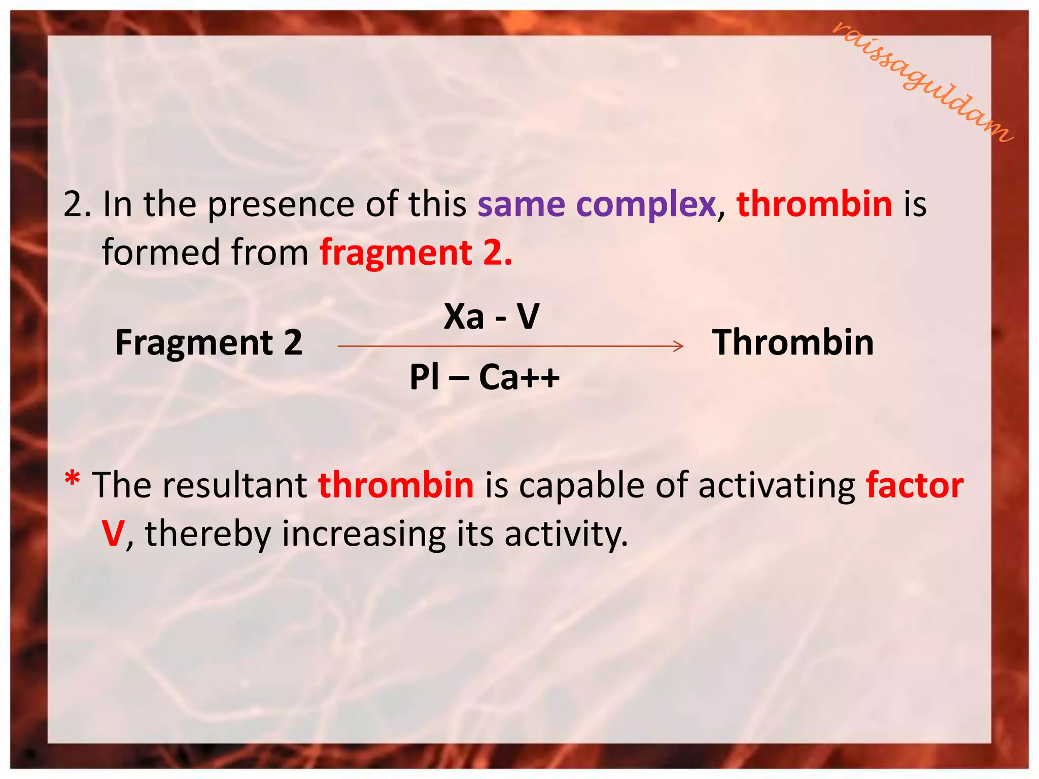 2. In the presence of this same complex, thrombin is
   formed from fragment 2.
                       Xa - V
   Fragment 2                           Thrombin
                     Pl – Ca++

* The resultant thrombin is capable of activating factor
  V, thereby increasing its activity.
 