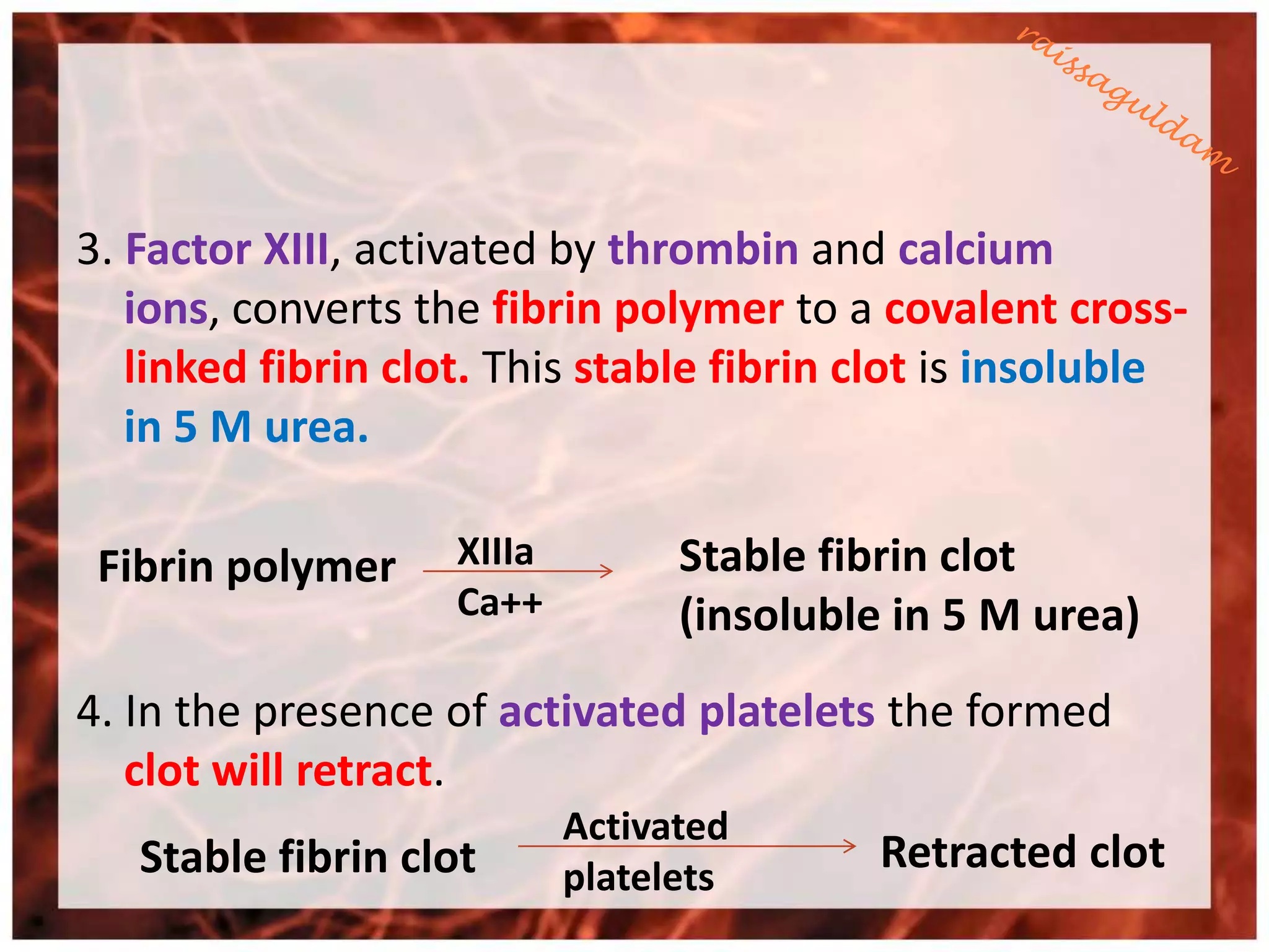 3. Factor XIII, activated by thrombin and calcium
   ions, converts the fibrin polymer to a covalent cross-
   linked fibrin clot. This stable fibrin clot is insoluble
   in 5 M urea.

 Fibrin polymer     XIIIa         Stable fibrin clot
                    Ca++          (insoluble in 5 M urea)
4. In the presence of activated platelets the formed
   clot will retract.
                            Activated
   Stable fibrin clot       platelets
                                            Retracted clot
 