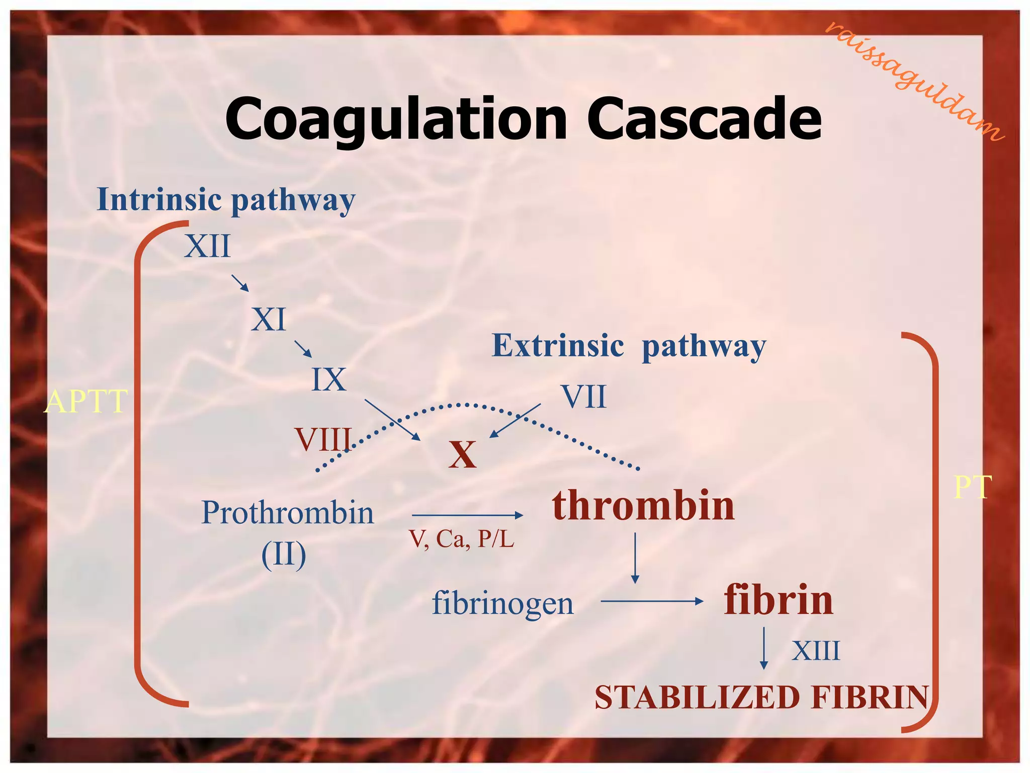Coagulation Cascade
  Intrinsic pathway
        XII

            XI
                               Extrinsic pathway
                  IX
APTT                               VII
                 VIII      X
                                                           PT
        Prothrombin                  thrombin
                        V, Ca, P/L
            (II)
                          fibrinogen         fibrin
                                                   XIII
                                       STABILIZED FIBRIN
 