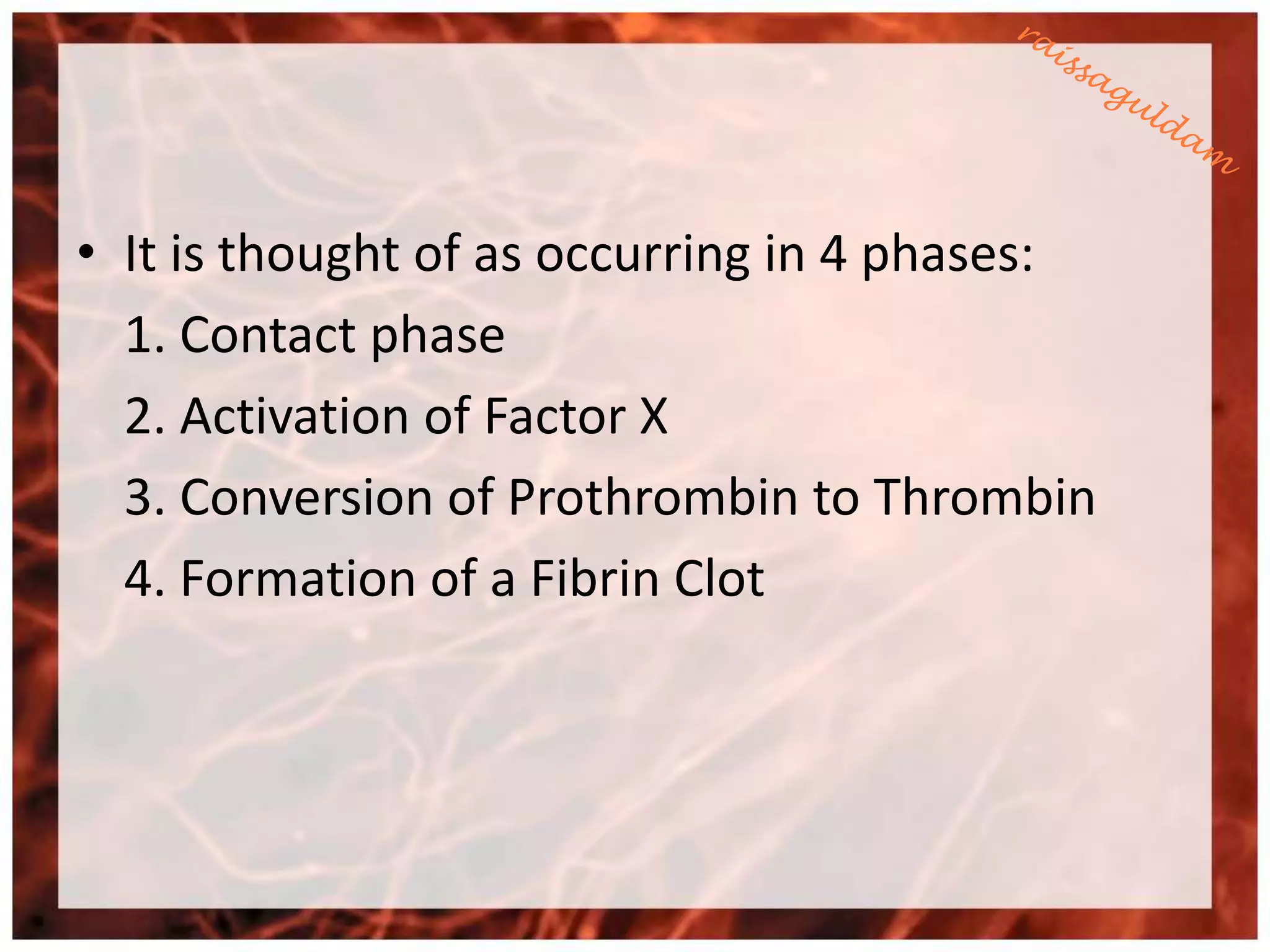 • It is thought of as occurring in 4 phases:
  1. Contact phase
  2. Activation of Factor X
  3. Conversion of Prothrombin to Thrombin
  4. Formation of a Fibrin Clot
 