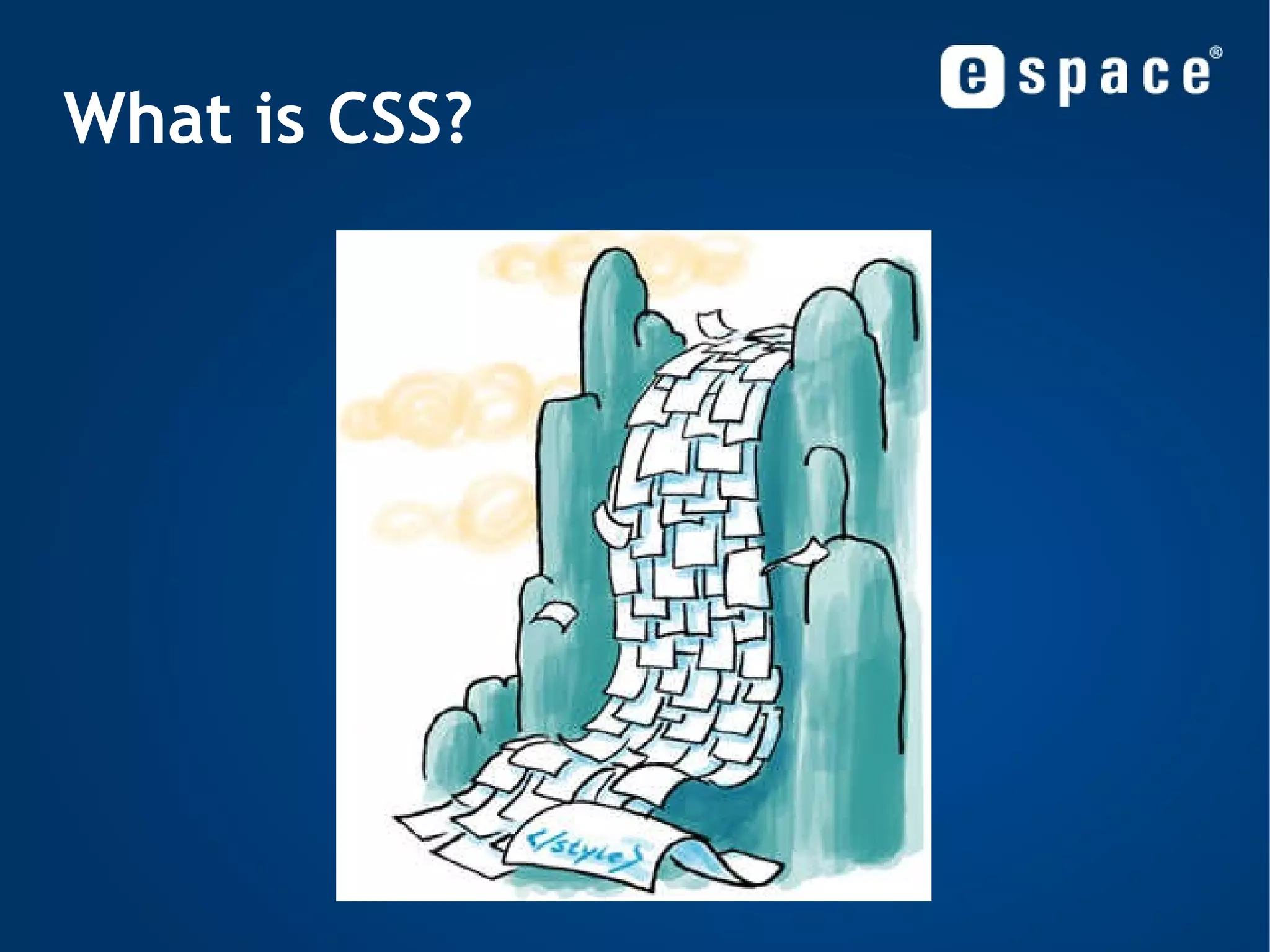 What is CSS? 