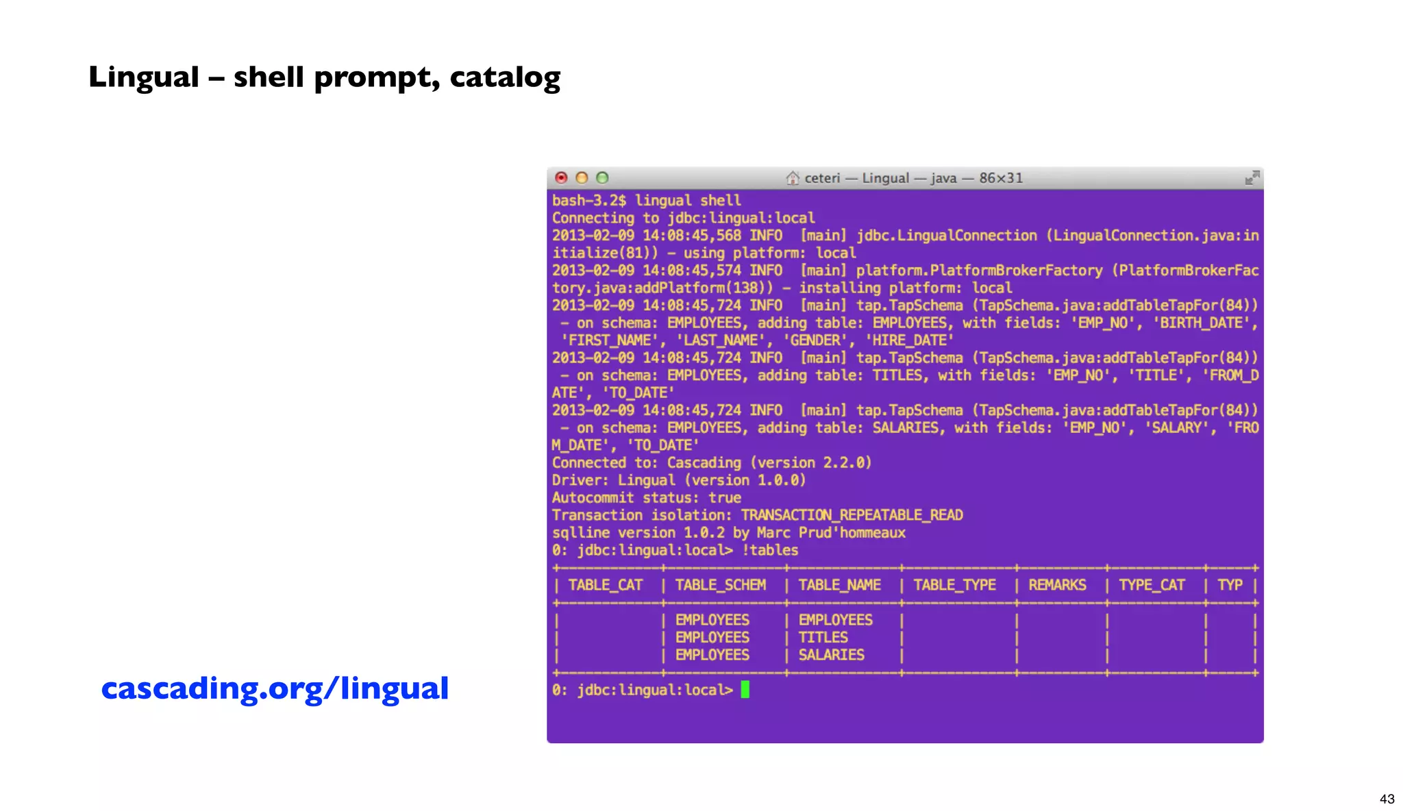 Lingual – shell prompt, catalog
cascading.org/lingual
43
 