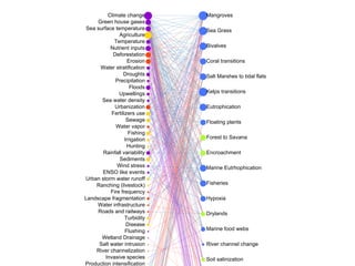 Agriculture
Climate change
Deforestation
Disease
Droughts
ENSO like events
Erosion
Fertilizers use
Fire frequency
Fishing
Floods
Flushing
Green house gases
Hunting
Invasive species
Irrigation
Landscape fragmentation
Nutrient inputs
Precipitation
Production intensification
Rainfall variability
Ranching (livestock)
River channelization
Roads and railways
Salt water intrusion
Sea surface temperature
Sea water density
Sediments
Sewage
Temperature
Turbidity
Upwellings
Urban storm water runoff
Urbanization
Water infrastructure
Water stratification
Water vapor
Wetland Drainage
Wind stress
Bivalves
Coral transitions
Drylands
Encroachment
Eutrophication
Fisheries
Floating plants
Forest to Savana
Hypoxia
Kelps transitions
Mangroves
Marine Eutrhophication
Marine food webs
River channel change
Salt Marshes to tidal flats
Sea Grass
Soil salinization
 