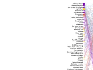 Agriculture
Climate change
Deforestation
Disease
Droughts
ENSO like events
Erosion
Fertilizers use
Fire frequency
Fishing
Floods
Flushing
Green house gases
Hunting
Invasive species
Irrigation
Landscape fragmentation
Nutrient inputs
Precipitation
Production intensification
Rainfall variability
Ranching (livestock)
River channelization
Roads and railways
Salt water intrusion
Sea surface temperature
Sea water density
Sediments
Sewage
Temperature
Turbidity
Upwellings
Urban storm water runoff
Urbanization
Water infrastructure
Water stratification
Water vapor
Wetland Drainage
Wind stress
 