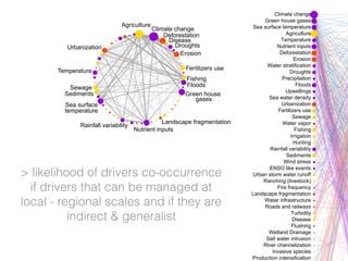 Agriculture
Climate change
Deforestation
Disease
Droughts
ENSO like events
Erosion
Fertilizers use
Fire frequency
Fishing
Floods
Flushing
Green house gases
Hunting
Invasive species
Irrigation
Landscape fragmentation
Nutrient inputs
Precipitation
Production intensification
Rainfall variability
Ranching (livestock)
River channelization
Roads and railways
Salt water intrusion
Sea surface temperature
Sea water density
Sediments
Sewage
Temperature
Turbidity
Upwellings
Urban storm water runoff
Urbanization
Water infrastructure
Water stratification
Water vapor
Wetland Drainage
Wind stress
Agriculture
Climate change
Deforestation
Disease
Droughts
Erosion
Fertilizers use
Fishing
Floods
Green house
gases
Landscape fragmentation
Nutrient inputs
Rainfall variability
Sea surface
temperature
Sediments
Sewage
Temperature
Urbanization
> likelihood of drivers co-occurrence
if drivers that can be managed at
local - regional scales and if they are
indirect & generalist
 