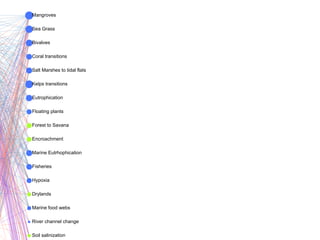 Bivalves
Coral transitions
Drylands
Encroachment
Eutrophication
Fisheries
Floating plants
Forest to Savana
Hypoxia
Kelps transitions
Mangroves
Marine Eutrhophication
Marine food webs
River channel change
Salt Marshes to tidal flats
Sea Grass
Soil salinization
 