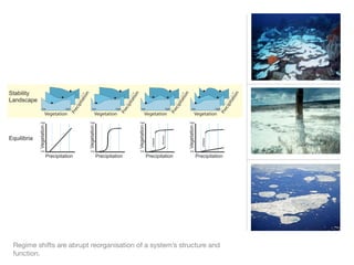 Regime shifts are abrupt reorganisation of a system’s structure and
function.
collapse
collapse
recovery
Precipitation
Vegetation
Precipitation
Vegetation
Precipitation
Vegetation
Precipitation
Vegetation
Precipitation Precipitation Precipitation Precipitation
low high low high low high low high
Vegetation
low
high
Vegetation
low
high
Vegetation
low
high
Vegetation
low
high
Stability
Landscape
Equilibria
 