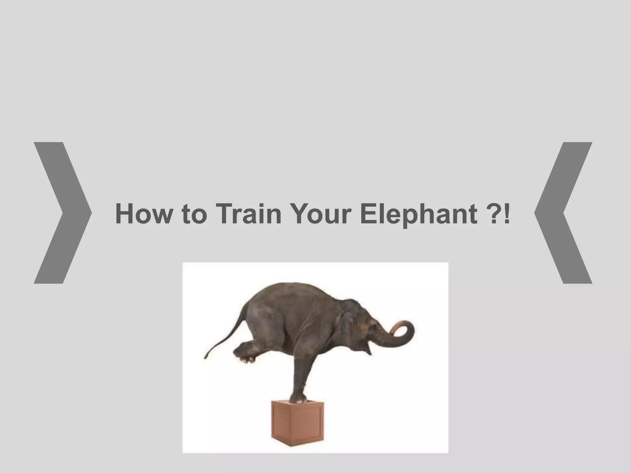 How to Train Your Elephant ?!
 