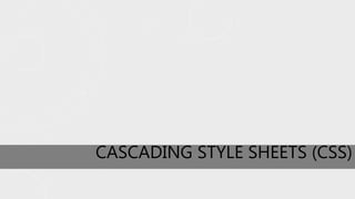CASCADING STYLE SHEETS (CSS)
 