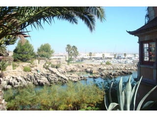 Festa Grande C, Cascais