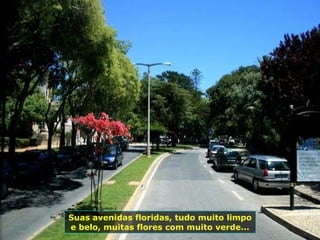 Suas avenidas floridas, tudo muito limpo e belo, muitas flores com muito verde... 