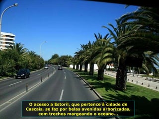 O acesso a Estoril, que pertence à cidade de Cascais, se faz por belas avenidas arborizadas, com trechos margeando o oceano... 