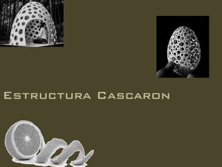 Estructura Cascaron
 