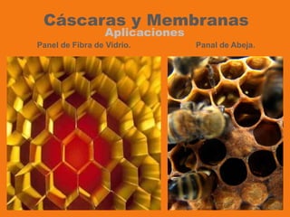 Cáscaras y Membranas Aplicaciones Panal de Abeja. Panel de Fibra de Vidrio. 