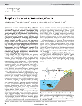 Trophic cascades across ecosystems
Tiffany M. Knight1,2
, Michael W. McCoy1
, Jonathan M. Chase2
, Krista A. McCoy1
& Robert D. Holt1
Predation can be intense, creating strong direct and indirect
effects throughout food webs1–4
. In addition, ecologists increas-
ingly recognize that ﬂuxes of organisms across ecosystem bound-
aries can have major consequences for community dynamics5,6
.
Species with complex life histories often shift habitats during their
life cycles7
and provide potent conduits coupling ecosystems5,6
.
Thus, local interactions that affect predator abundance in one
ecosystem (for example a larval habitat) may have reverberating
effects in another (for example an adult habitat). Here we show
that ﬁsh indirectly facilitate terrestrial plant reproduction
through cascading trophic interactions across ecosystem bound-
aries. Fish reduce larval dragonﬂy abundances in ponds, leading to
fewer adult dragonﬂies nearby. Adult dragonﬂies consume insect
pollinators and alter their foraging behaviour. As a result, plants
near ponds with ﬁsh receive more pollinator visits and are less
pollen limited than plants near ﬁsh-free ponds. Our results
conﬁrm that strong species interactions can reverberate across
ecosystems, and emphasize the importance of landscape-level
processes in driving local species interactions.
Trophic cascades arise when predators reduce prey abundance,
indirectly relaxing consumption on lower trophic levels8
. For ex-
ample, in a three-level food chain, predators can reduce herbivore
abundance, indirectly beneﬁting plants. Studies of food-web inter-
actions and trophic cascades have traditionally focused on the
antagonistic interactions between species1–4,8
. However, mutualists
are also embedded within food webs. Many plant species either fail to
reproduce or produce fewer seeds or seeds of lower quality if
mutualist pollinators, including multitudes of insects, birds and
mammals, fail to visit9
. As a result, pollinators can be crucial drivers
of plant population and community dynamics10
. However, pollina-
tors also have important predators; such predators can have an
indirect negative effect on plants by harming mutualists11–13
.
The strength and ubiquity of trophic cascades has been the focus of
a sustained debate in ecology, and considerable effort has focused on
quantifying their strength in aquatic and terrestrial ecosystems14
.
However, only recently have ecologists explicitly examined how
organisms with complex life histories can dynamically couple aquatic
and terrestrial ecosystems15–17
, leading to trophic cascades that
transcend ecosystem boundaries. The larval stages of many fresh-
water organisms (for example dragonﬂies and frogs) are vulnerable
to a suite of aquatic predators, whereas the adult stages are important
consumers in the terrestrial habitat. The intensity of predation
experienced by juveniles in the aquatic habitat can therefore be
predicted to indirectly inﬂuence the intensity of predation imposed
in turn by adults in terrestrial habitats.
Here we show how strong direct effects of organisms with complex
life histories can create trophic cascades that transcend terrestrial and
aquatic ecosystem boundaries. Speciﬁcally, we demonstrate that
freshwater ﬁsh indirectly facilitate plant reproduction by means of
a cascade of species interactions, mediated by dragonﬂies switching
during their life history between aquatic and terrestrial habitats
(Fig. 1). Fish predation often strongly limits the abundance and
the size distribution (favouring smaller species) of larval odonates
(dragonﬂies and damselﬂies) in aquatic habitats18,19
Although
detailed diet studies on adult dragonﬂies are rare, published accounts
from the general region of our study have shown that the adults of
many dragonﬂy species are voracious predators of bees and other
pollinators20–22
. We proposed that ﬁsh would reduce larval and adult
dragonﬂy abundances and that this would permit a higher abun-
dance of insect pollinators, thus indirectly increasing the pollination
and reproductive success of nearby terrestrial plants.
Our study took place at the University of Florida’s Katharine
Ordway Preserve/Carl Swisher Memorial Sanctuary in northern
Florida. This site contains 18 permanent ponds (retain standing
water in most years) that differ in whether or not they contain ﬁsh.
We chose eight ponds; four contained a community of ﬁsh (such as
Centrarchid sunﬁshes) and four lacked ﬁsh. We found no systematic
differences between ponds in surface area or in the amount of
sunlight or vegetation structure near the pond margins (Supplemen-
tary Information).
As predicted, larval (Fig. 2a) and adult (Fig. 2b) dragonﬂies were
much more abundant in and around ﬁsh-free ponds than at ponds
with ﬁsh. The species composition of dragonﬂies also differed
between ponds with and without ﬁsh; large and medium-sized
dragonﬂies dominated in and around ﬁsh-free ponds, whereas
small species were more prevalent in and around ponds with ﬁsh
(Fig. 2).
LETTERS
Figure 1 | Interaction web showing the pathway by which ﬁsh facilitate
plant reproduction. Solid arrows indicate direct interactions; dashed arrows
denote indirect interactions. The sign refers to the expected direction of the
direct or indirect effect (see the text). Figure numbers indicate which ﬁgure
presents data supporting each of the predicted effects. (Figure created by
S. White and C. Stierwalt.)
1
Department of Zoology, University of Florida, Gainesville, Florida 32611, USA. 2
Department of Biology, Washington University, St Louis, Missouri 63130, USA.
Vol 437|6 October 2005|doi:10.1038/nature03962
880
© 2005 Nature Publishing Group
 