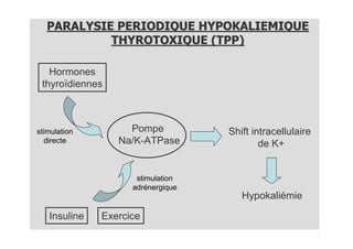 PARALYSIE PERIODIQUE HYPOKALIEMIQUE
            THYROTOXIQUE (TPP)

   Hormones
 thyroïdiennes



stimulation        Pompe           Shift intracellulaire
  directe        Na/K-ATPase               de K+


                     stimulation
                    adrénergique
                                      Hypokaliémie

   Insuline   Exercice
 