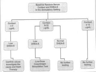Avions nous raison de suspecter l'insuffisance
                     corticotrope ?
SDHEA effondré: moyen simple pour redresser Dg
      En Pratique (peu de données littérature): 10 (1 µg)>500,S-DHEA
      4 (1 µg)<500,S-DHEA Nl (Arafah B.M.)
      un C > 13 (Kazlauskaite R.) et ≥ 12 (Arafah), CBG nle + SDHEA NL (selon âge et
      sexe), est hautement prédictif d’une fonction surrénalienne nle et n’impose
pas test supplémentaire



          • Utiliser les normes du laboratoire pour l’âge et le sexe: Aucune
            valeur seuil de S-DHEA plasmatique.
          • Attention à une prise plus ou moins cachée de DHEA qui peut
            majorer le taux de S-DHEA



Synacthène de contrôle M1 post crise convulsive anormal: 2,4-7,1 µg/dl

Réponse spectaculaire à l’Hydrocortisone
 