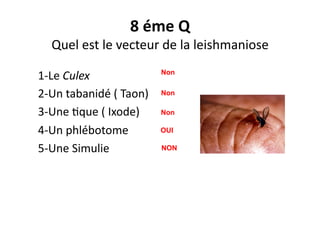 8	
  éme	
  Q	
  
Quel	
  est	
  le	
  vecteur	
  de	
  la	
  leishmaniose	
  
1-­‐Le	
  Culex	
  
2-­‐Un	
  tabanidé	
  (	
  Taon)	
  	
  
3-­‐Une	
  Jque	
  (	
  Ixode)	
  
4-­‐Un	
  phlébotome	
  
5-­‐Une	
  Simulie	
  
Non
Non
Non
OUI
NON
 