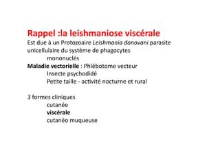 Rappel	
  :la	
  leishmaniose	
  viscérale	
  
Est	
  due	
  à	
  un	
  Protozoaire	
  Leishmania	
  donovani	
  parasite	
  
unicellulaire	
  du	
  système	
  de	
  phagocytes	
  
	
  mononuclés	
  
Maladie	
  vectorielle	
  :	
  Phlébotome	
  vecteur	
  
	
  Insecte	
  psychodidé	
  
	
  PeJte	
  taille	
  -­‐	
  acJvité	
  nocturne	
  et	
  rural	
  
3	
  formes	
  cliniques	
  	
  
	
  cutanée	
  
	
  viscérale	
  	
  
	
  cutanéo	
  muqueuse	
  
 