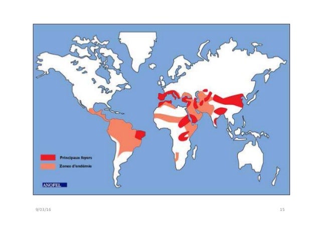 Cas Clinique Epu Sable