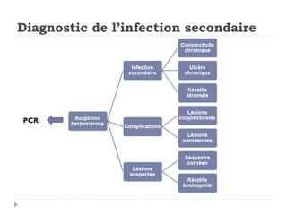 Diagnostic de l’infection secondaire




PCR
 