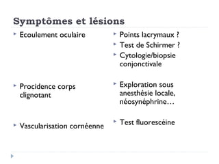 Symptômes et lésions
   Ecoulement oculaire            Points lacrymaux ?
                                   Test de Schirmer ?
                                   Cytologie/biopsie
                                    conjonctivale

   Procidence corps               Exploration sous
    clignotant                      anesthésie locale,
                                    néosynéphrine…

   Vascularisation cornéenne
                                   Test fluorescéine
 