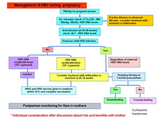 Ccohepatitis
hepatonews

 