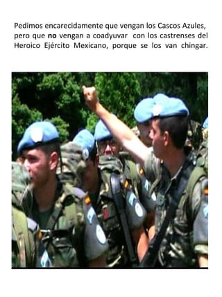 Pedimos encarecidamente que vengan los Cascos Azules,  pero que  no  vengan a coadyuvar  con los castrenses del Heroico Ejército Mexicano, porque se los van chingar. 