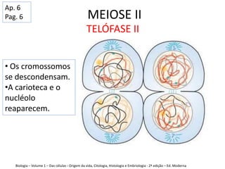 MEIOSE II
TELÓFASE II
Biologia – Volume 1 – Das células - Origem da vida, Citologia, Histologia e Embriologia - 2ª edição – Ed. Moderna
• Os cromossomos
se descondensam.
•A carioteca e o
nucléolo
reaparecem.
Ap. 6
Pag. 6
 